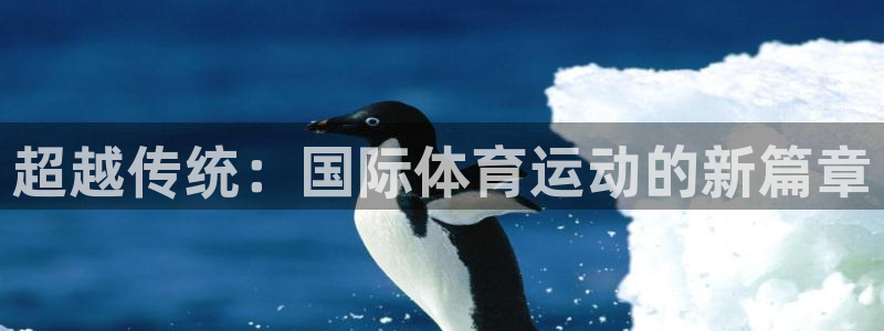 熊猫体育app官网入口：超越传统：国际体育运动的新篇章