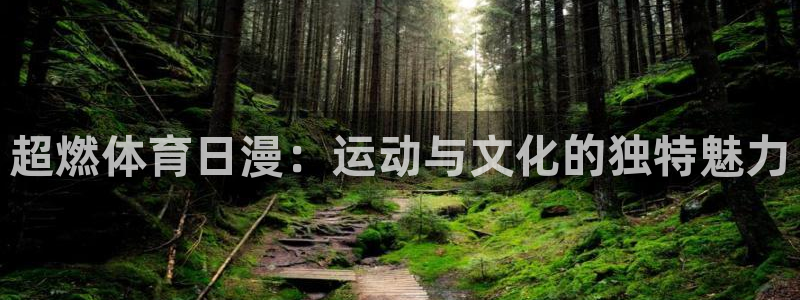 熊猫体育app官方下载最新版：超燃体育日漫：运动与文化的独特魅力