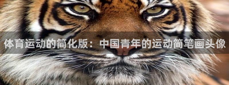 熊猫体育app官方下载最新版：体育运动的简化版：中国青年的运动简笔画头像