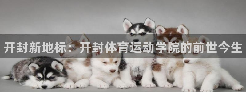 熊猫体育免费下载：开封新地标：开封体育运动学院的前世今生
