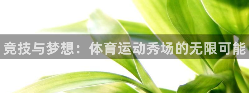 熊猫体育在线观看：竞技与梦想：体育运动秀场的无限可能