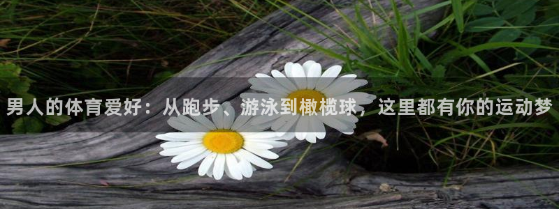 熊猫体育app官方入口：男人的体育爱好：从跑步、游泳到橄榄球，这里都有你的运动梦