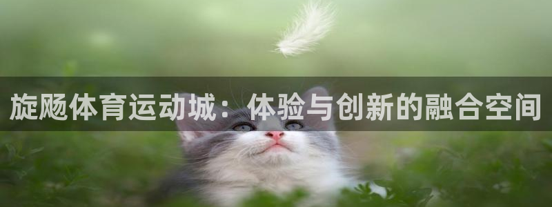 熊猫体育文化有限公司：旋飏体育运动城：体验与创新的融合空间