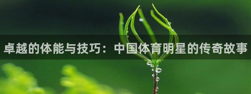 熊猫体育官方网站：卓越的体能与技巧：中国体育明星的传奇故事