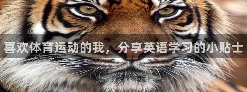熊猫体育app官方入口：喜欢体育运动的我，分享英语学习的小贴士