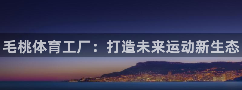 动感熊猫体育公园：毛桃体育工厂：打造未来运动新生态
