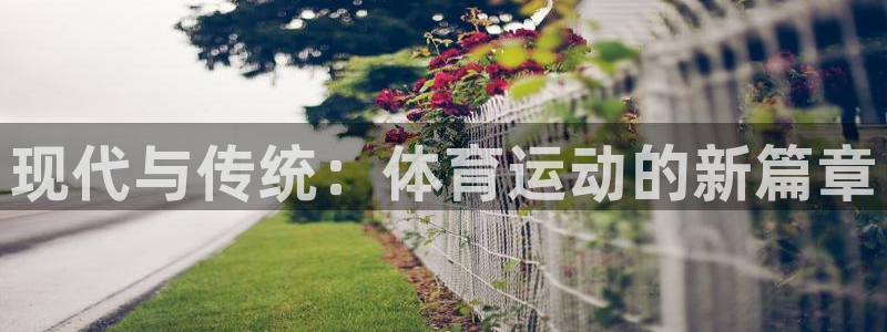 成都金熊猫体育：现代与传统：体育运动的新篇章