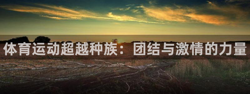 熊猫体育app官方下载最新版：体育运动超越种族：团结与激情的力量
