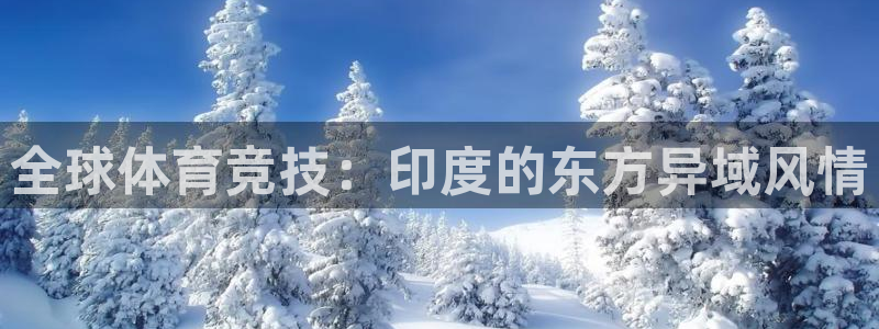 熊猫体育直播nba：全球体育竞技：印度的东方异域风情