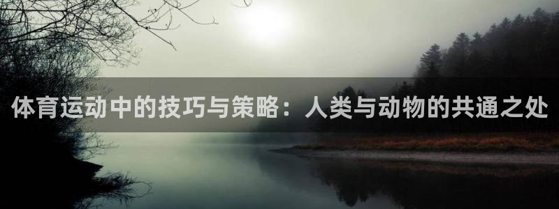 熊猫体育文化有限公司：体育运动中的技巧与策略：人类与动物的共通之处
